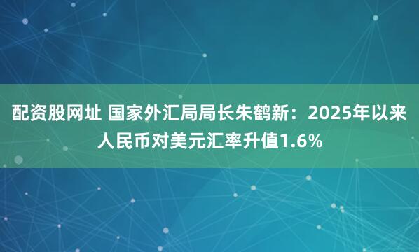配资股网址 国家外汇局局长朱鹤新：2025年以来人民币对美元汇率升值1.6%