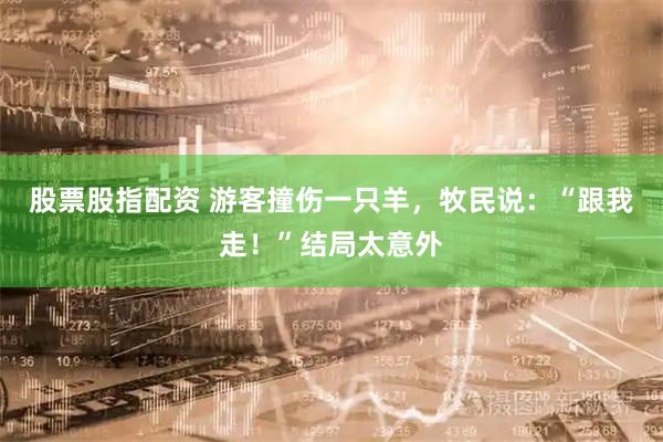 股票股指配资 游客撞伤一只羊,牧民说:“跟我走!”结局太意外