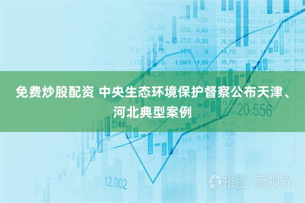 免费炒股配资 中央生态环境保护督察公布天津、河北典型案例